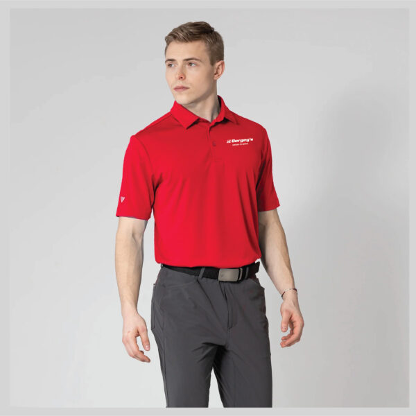 Levelwear Original Men's Polo - L